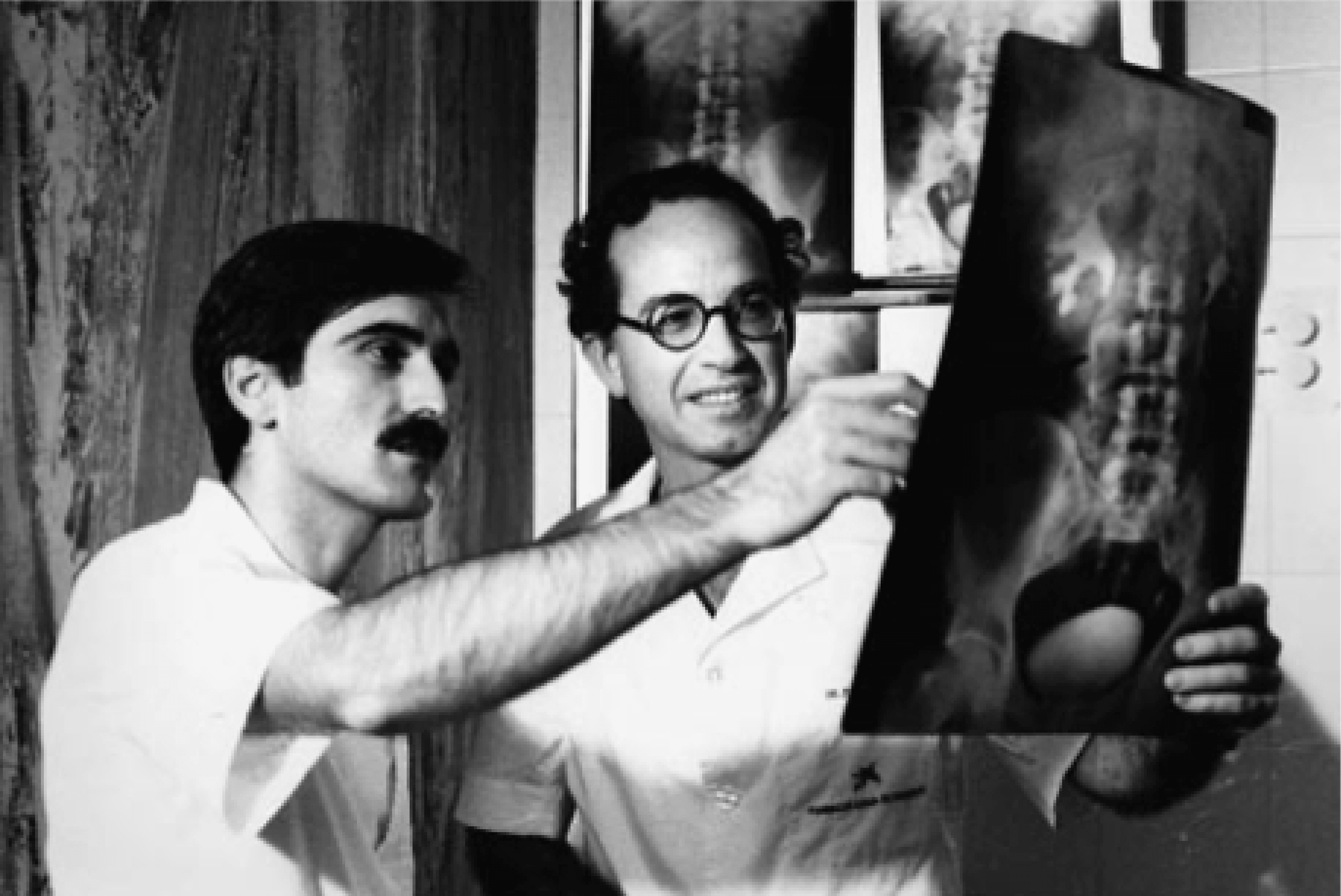 Ruiz Marcellan e Ibarz